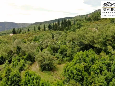 Sale, land lot, 7251m², Mojdež, Herceg Novi - image 4