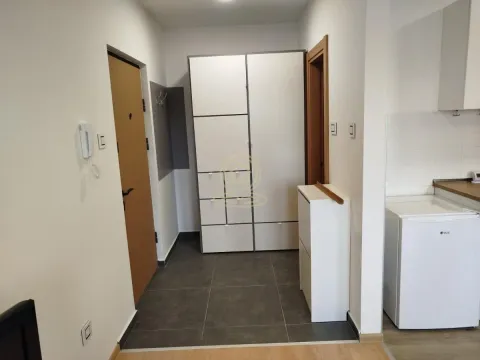 Rent, one bedroom apartment, 26m², Veternik, Novi Sad Sve Podlokacije - image 4