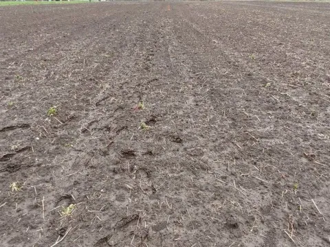 Sale, land lot, 4500m², Danilovgrad, Crna Gora - image 2