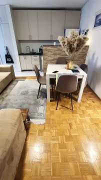 Izdavanje, dvosoban stan, 43m², Banovo Brdo, Beograd - image 3