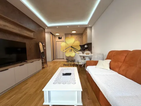 Dnevni boravak sa garniturom, televizorom i trpezarijskim dijelom u pozadini. - image 4