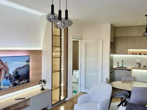 Izdavanje, jednosoban stan, 49m², Central Point, Podgorica - image 1