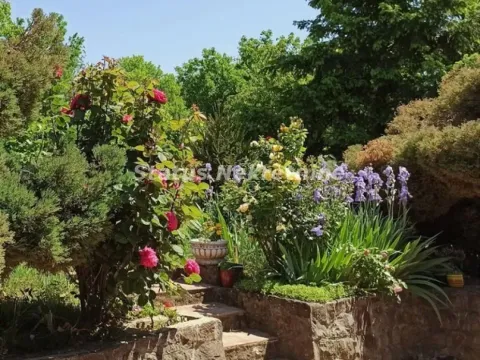 Prodaja, kuća, 322m², Ledinci, Petrovaradin - image 7