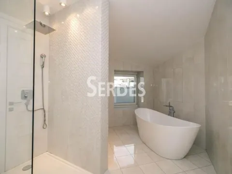 Izdavanje, stan, 360m², Socijalno, Novi Sad Sve Podlokacije - image 20