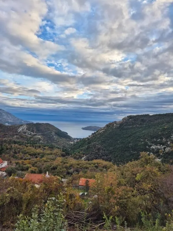Prodaja, plac, 1557m², Markovići, Budva