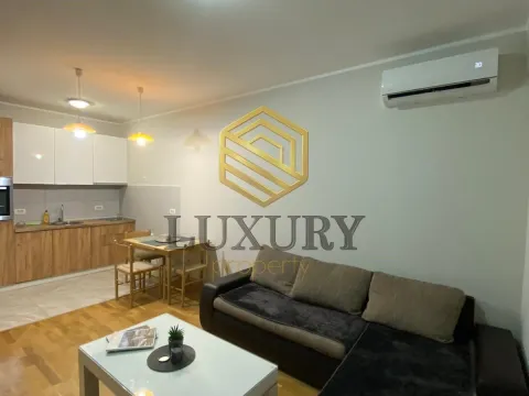 Rent, one bedroom apartment, 43m², Zabjelo, Podgorica - image 9