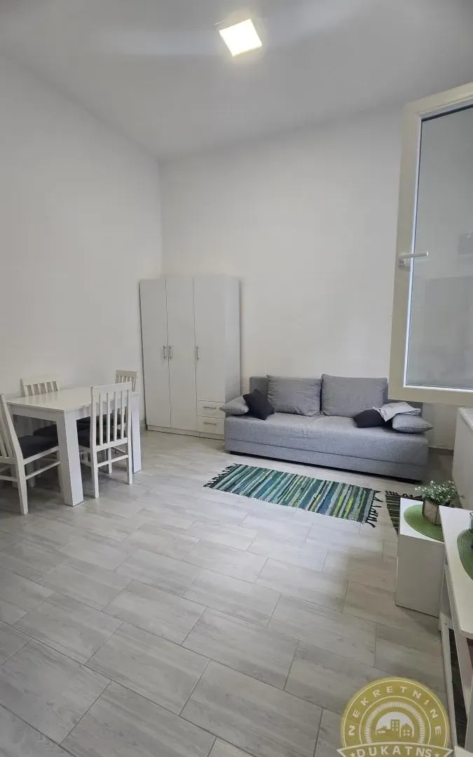 Izdavanje, garsonjera, 22m², Detelinara, Novi Sad Sve Podlokacije