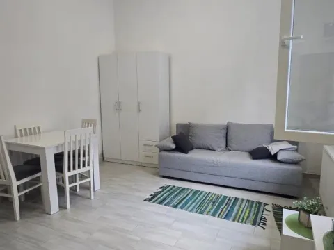 Izdavanje, garsonjera, 22m², Detelinara, Novi Sad Sve Podlokacije - image 5