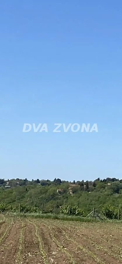 Pogled sa imanja na okolnu prirodu i zelenilo.