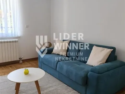 Izdavanje, stan, 30m², Banjica, Voždovac Sve Podlokacije - image 1