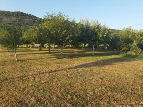 Prodaja, kuća, 120m², Danilovgrad, Crna Gora - image 3