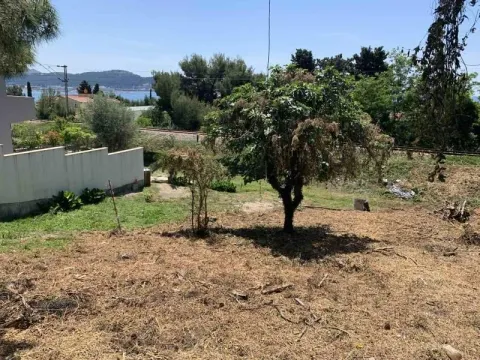 Prodaja, plac, 400m², Bar, Crna Gora