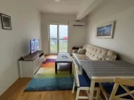 Izdavanje, jednosoban stan, 40m², Stari Aerodrom, Podgorica - image 3