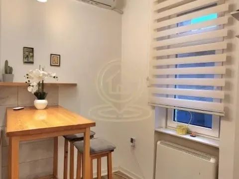 Izdavanje, jednosoban stan, 37m², Stari Grad, Beograd - image 9