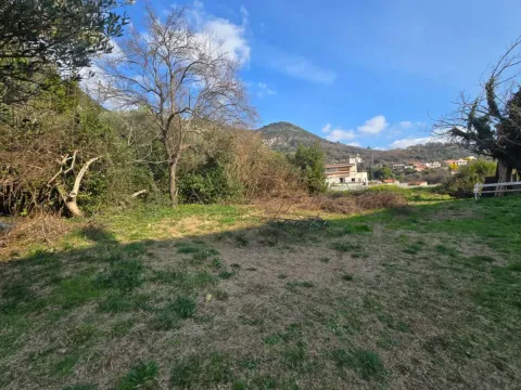 Prodaja, plac, 250m², Mažina, Tivat - image 7