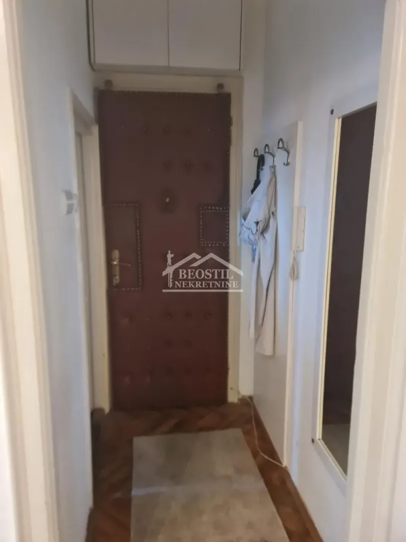Izdavanje, dvosoban stan, 50m², Botanička Bašta, Palilula Sve Podlokacije