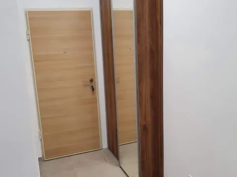 Rent, one bedroom apartment, 48m², Ljubović, Podgorica - image 9