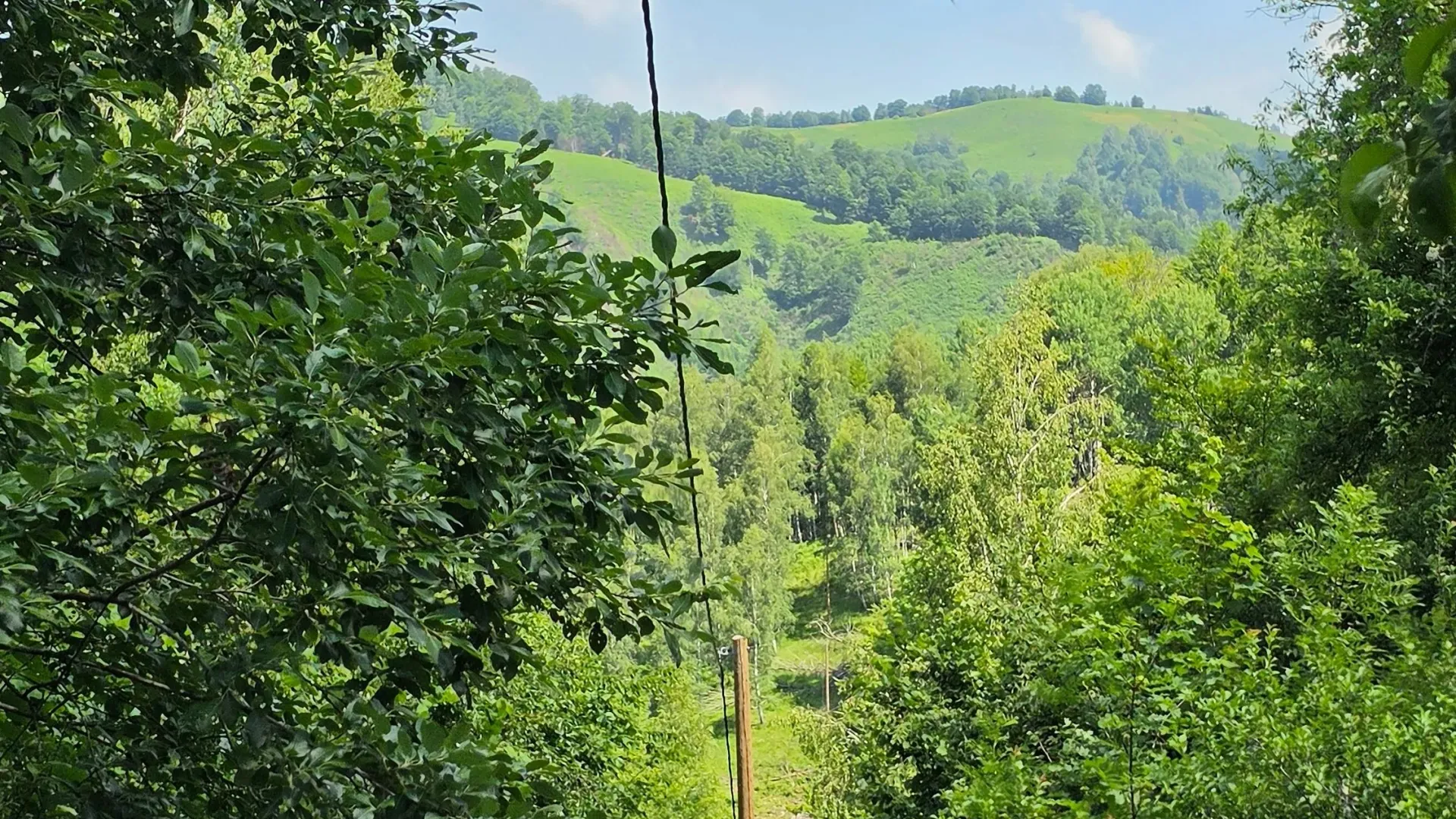 Sale, land lot, 89208m², Padež, Kolašin