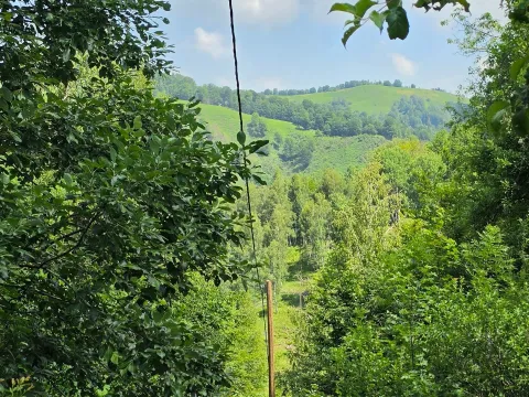 Sale, land lot, 89208m², Padež, Kolašin - image 16