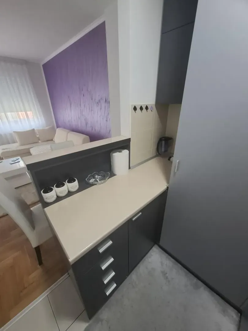 Izdavanje, dvosoban stan, 50m², Grbavica, Novi Sad Sve Podlokacije