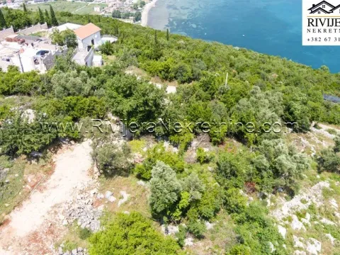 Prodaja, plac, 1300m², Žvinje, Herceg Novi - image 2