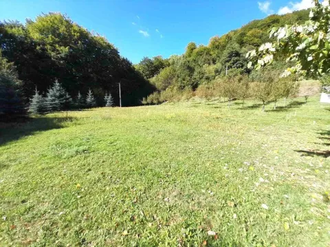 Prodaja, plac, 17300m², Crkvine, Kolašin - image 5