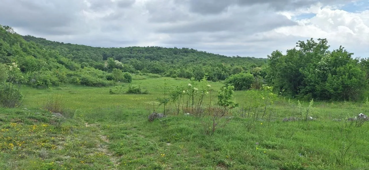 Prodaja, plac, 12650m², Gorica C, Podgorica
