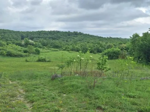 Prodaja, plac, 12650m², Gorica C, Podgorica - image 4