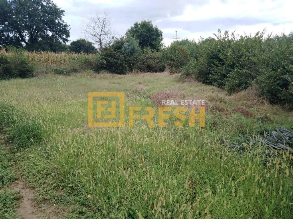 Prodaja, plac, 3150m², Ostalo, Podgorica