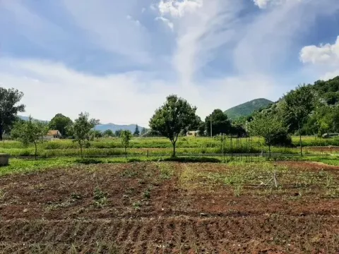 Pogled na obrađeno zemljište sa voćnjakom i brdima u pozadini. - image 8