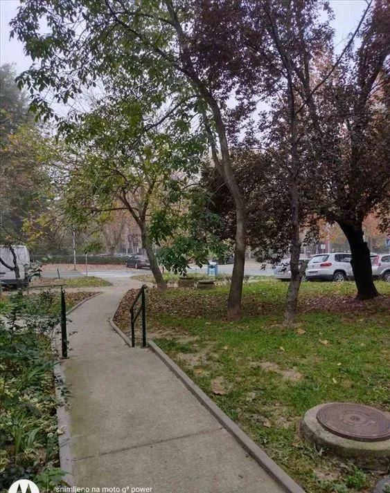 Rent, three bedroom apartment, 55m², Zvezdara Sve Podlokacije, Beograd