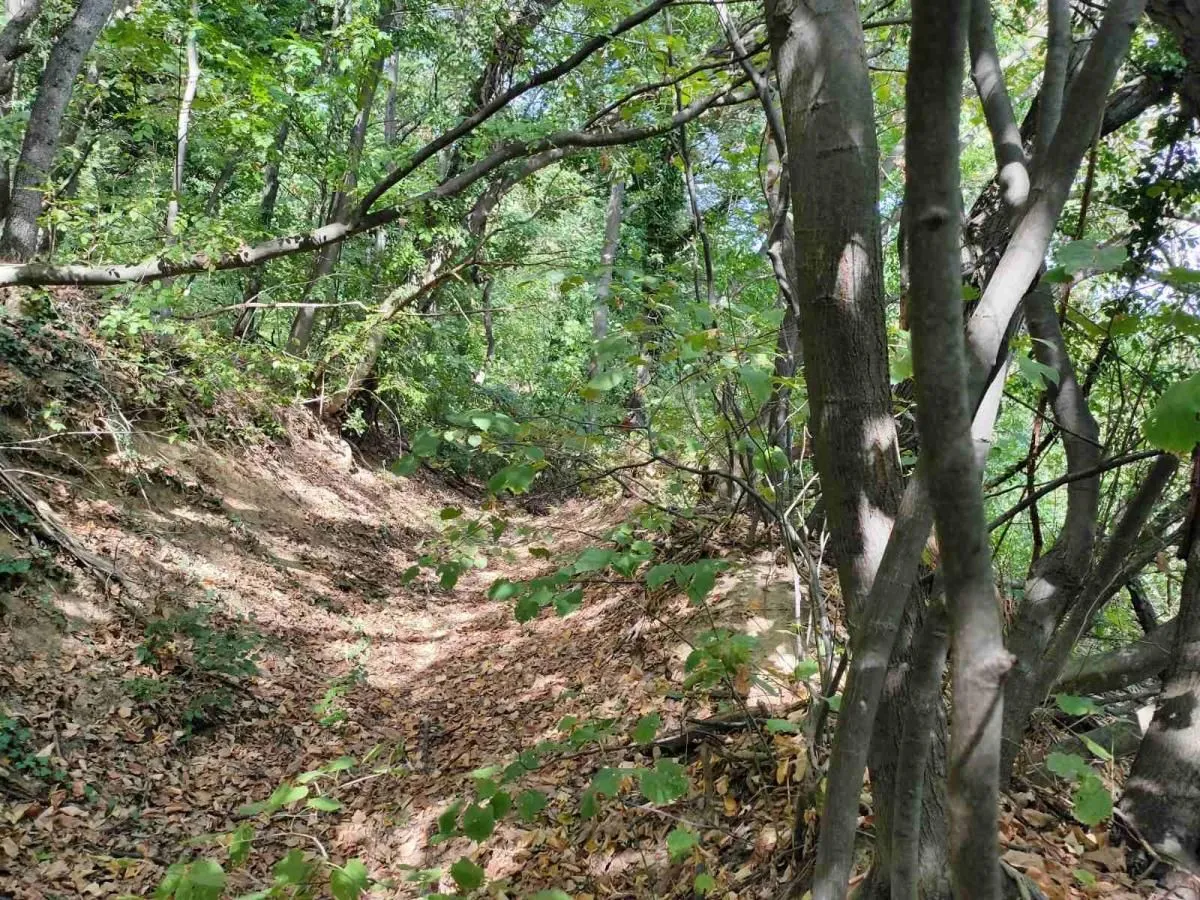Prodaja, plac, 1100m², Irig, Srbija