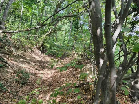 Sale, land lot, 1100m², Irig, Srbija - image 4