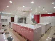 Izdavanje, poslovni prostor, 214m², Autobuska stanica, Podgorica - image 13