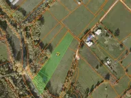 Prodaja, plac, 5181m², Ćurilac, Danilovgrad - image 9