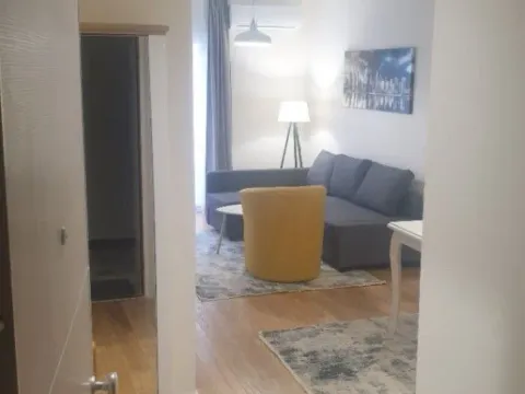 Izdavanje, jednosoban stan, 47m², Central Point, Podgorica - image 4