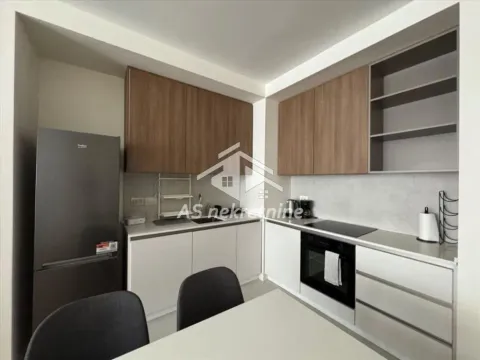 Izdavanje, dvosoban stan, 59m², Savski Venac, Beograd - image 5