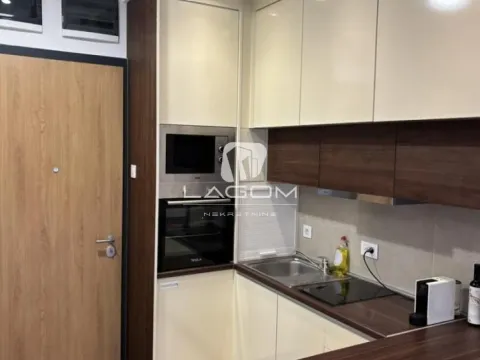 Rent, one bedroom apartment, 28m², Tošin bunar, Novi Beograd Sve Podlokacije - image 11