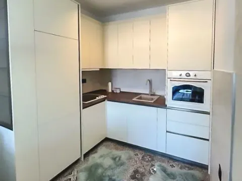 Rent, one bedroom apartment, 49m², Ljubović, Podgorica - image 11