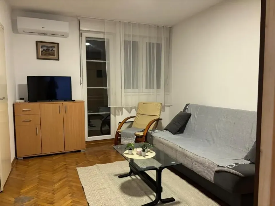 Rent, one bedroom apartment, 30m², Zemun Nova Galenika, Zemun Sve Podlokacije