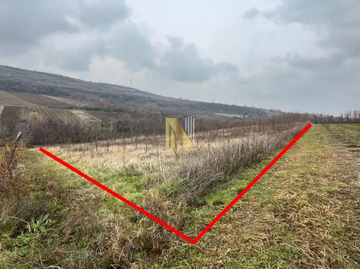 Prodaja, plac, 154m², Beočin, Srbija