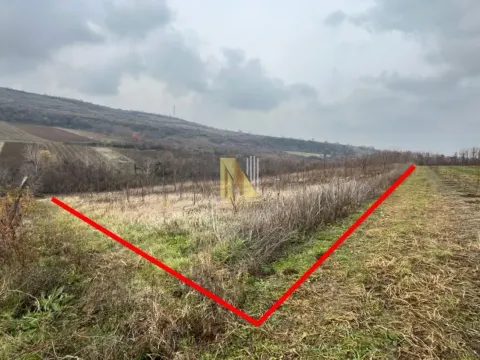 Prodaja, plac, 154m², Beočin, Srbija - image 4