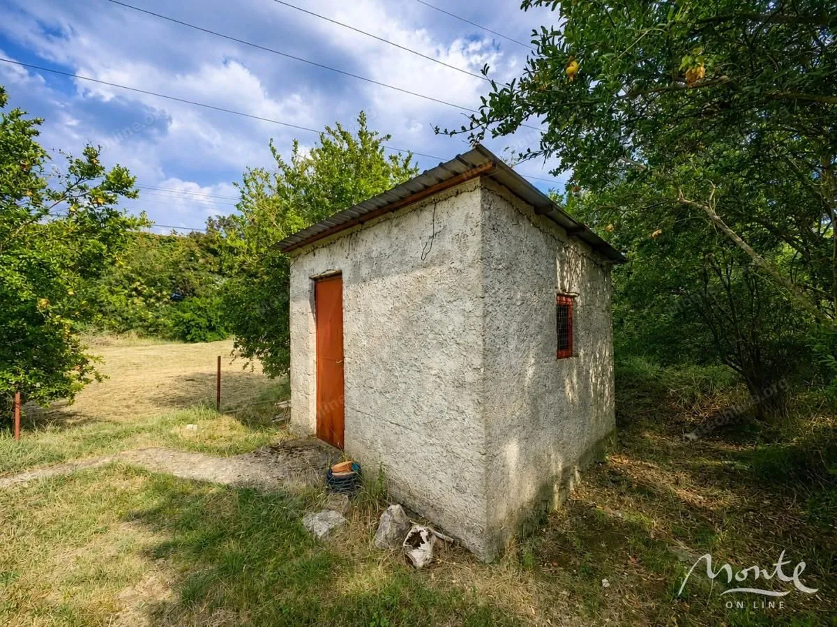 Pomoćni objekat u dvorištu okružen zelenilom.