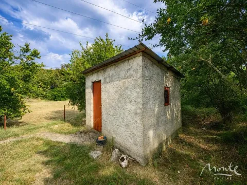 Pomoćni objekat u dvorištu okružen zelenilom. - image 36