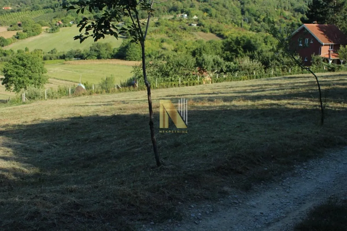 Prodaja, plac, 2000m², Sremska Kamenica, Petrovaradin