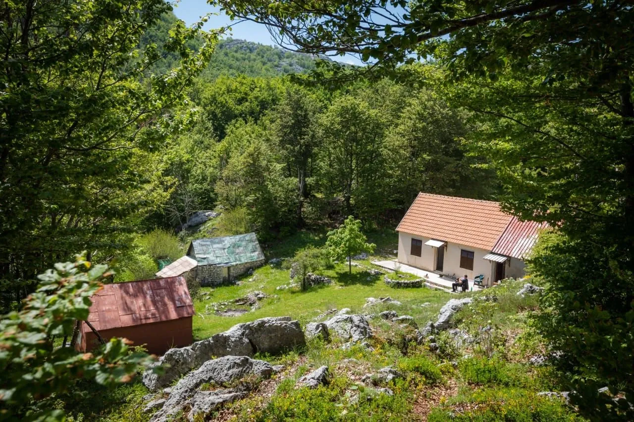 Prodaja, plac, 198000m², Ivanova Korita, Cetinje