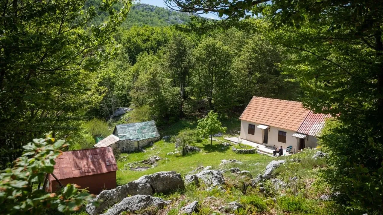 Sale, land lot, 198000m², Ivanova Korita, Cetinje