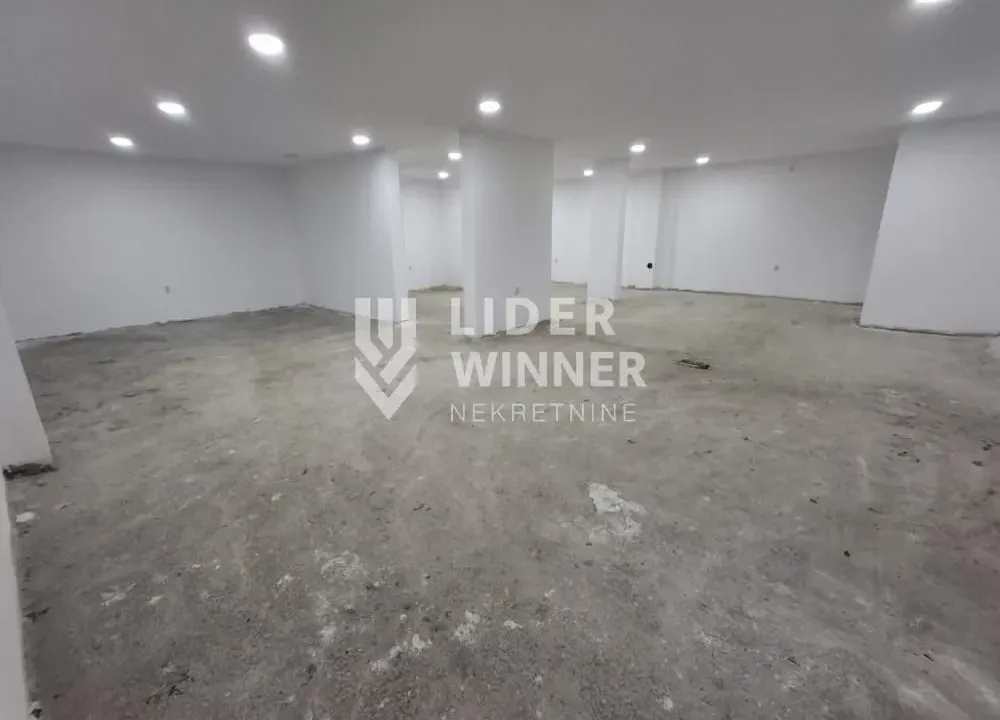 Izdavanje, poslovni prostor, 164m², Olimp, Zvezdara Sve Podlokacije