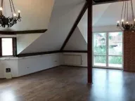 Izdavanje, poslovni prostor, 100m², Profesorska Kolonija, Palilula Sve Podlokacije - image 1