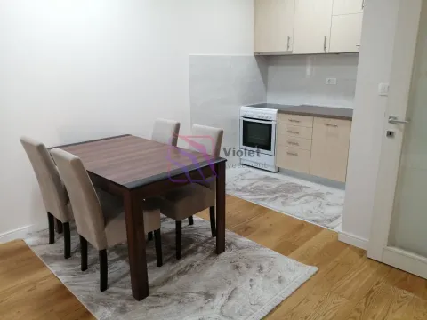 Izdavanje, jednosoban stan, 49m², Central Point, Podgorica - image 8